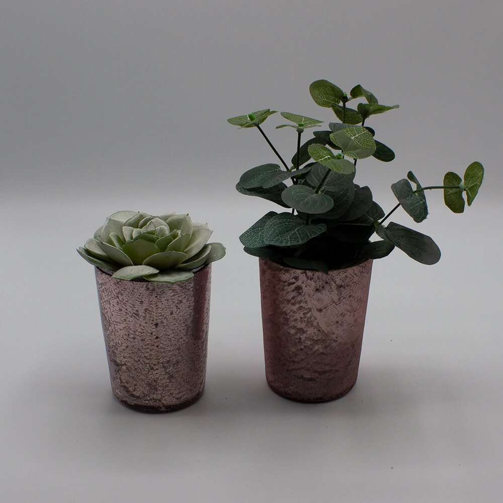 WG-BE-005 - 006 Glasvase Becher rose matt und glänzend