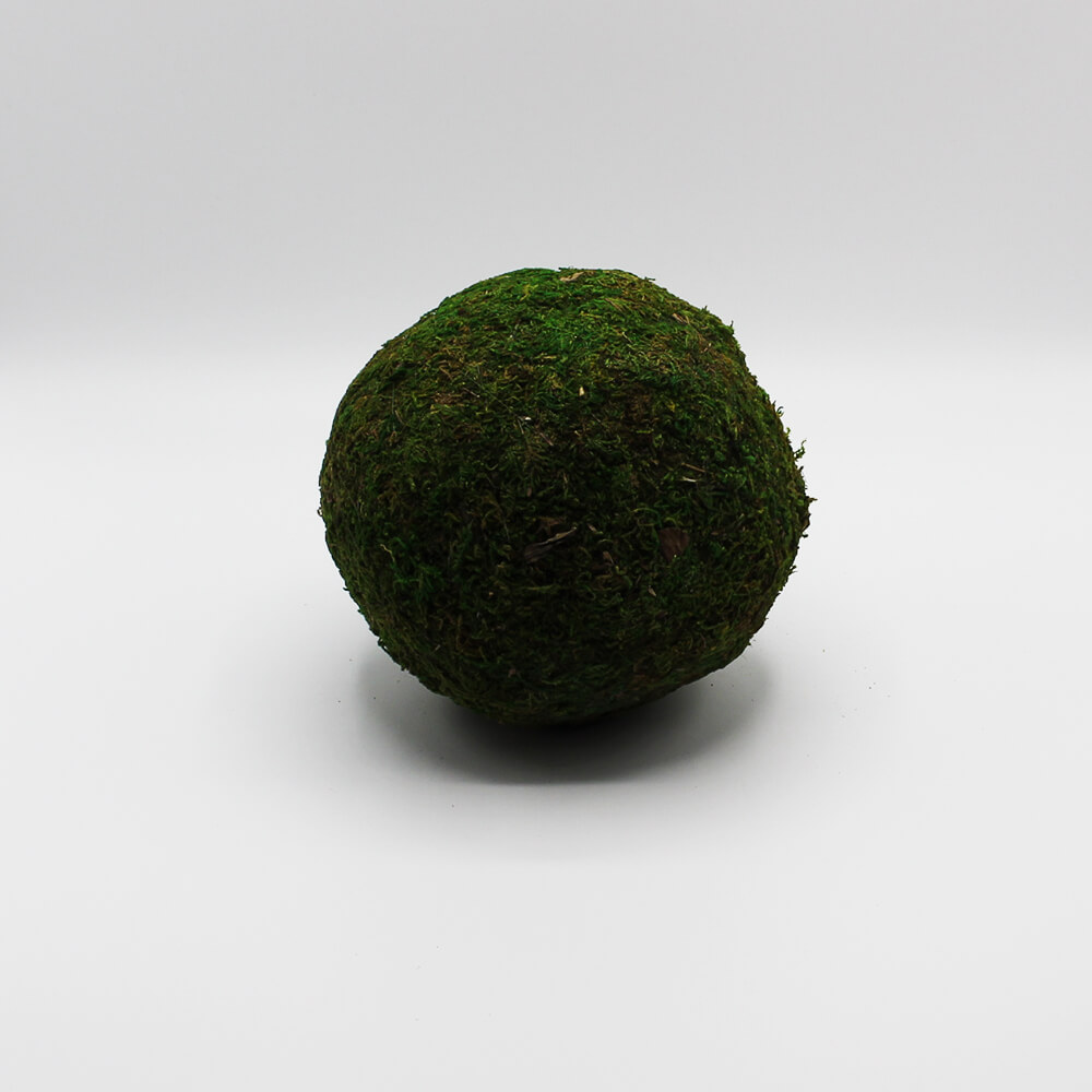 MOK-001 Mooskugel