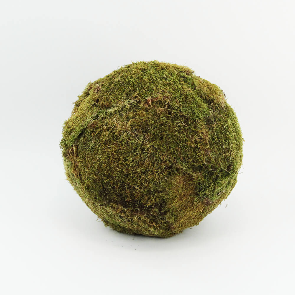 MOK-002 Mooskugel